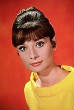 VanessaPalmerBlas/audreyhepburn.jpg