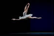 VanessaPalmerBlas/ballerina.jpg