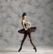 VanessaPalmerBlas/ballet.jpg