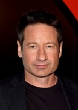 VanessaPalmerBlas/davidduchovny.jpg