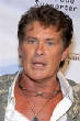 VanessaPalmerBlas/davidhasselhoff.jpg