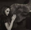 VanessaPalmerBlas/elephant.jpg