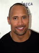 VanessaPalmerBlas/therockdwaynejohnson.jpg