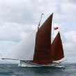 VanessaPalmerBlas/yachtracing.jpg