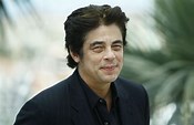 VanessaPalmerBlas/beniciodeltoro.jpg