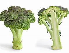 VanessaPalmerBlas/broccoli.jpg