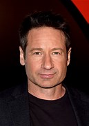 VanessaPalmerBlas/davidduchovny.jpg