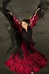 VanessaPalmerBlas/flamenco.jpg