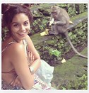 VanessaPalmerBlas/monkeyoperation.jpg