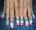 VanessaPalmerBlas/nailtechnicianv.jpg