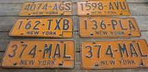 VanessaPalmerBlas/nylicenseplates.jpg