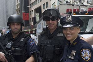 VanessaPalmerBlas/nypd.jpg