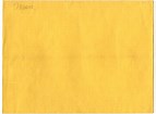 VanessaPalmerBlas/yellowmanilaenvelope.jpg