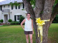 VanessaPalmerBlas/yellowribbonoaktree.jpg